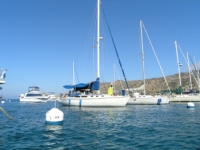 opt 029.jpg
